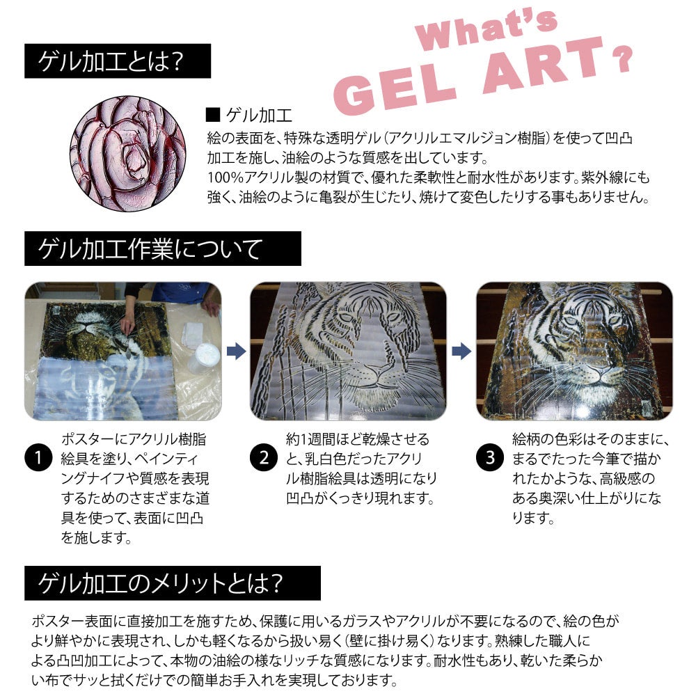 【公式ショップ】 トフト サム 「コージー -ユーパワー YOUPOWER | カッパ」 その他